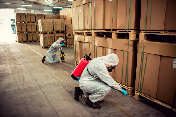 Best Pest Control for Homes  in Alpena, MI