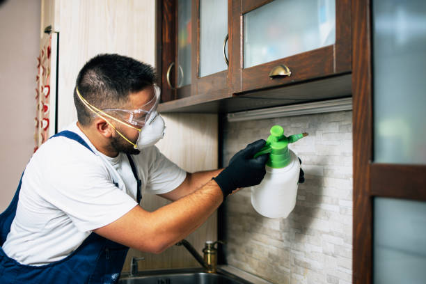Best Pest Control Treatment  in Alpena, MI