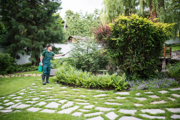 Best Mosquito Control Services  in Alpena, MI