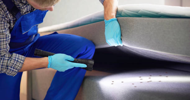 Best Pest Prevention Services  in Alpena, MI