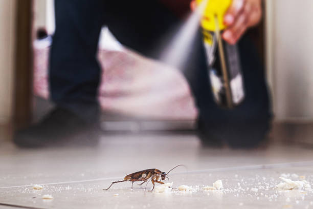 Best Pest Prevention Services  in Alpena, MI