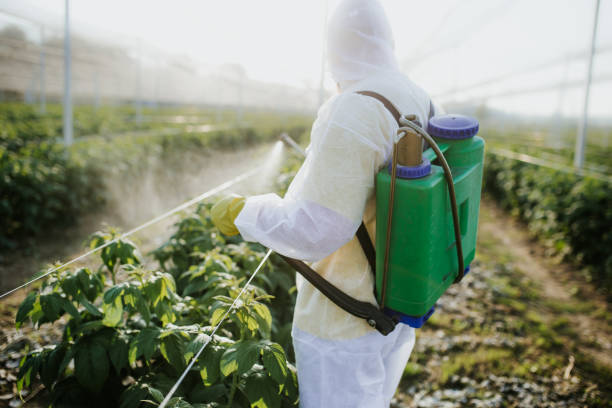 Best Mosquito Control Services  in Alpena, MI
